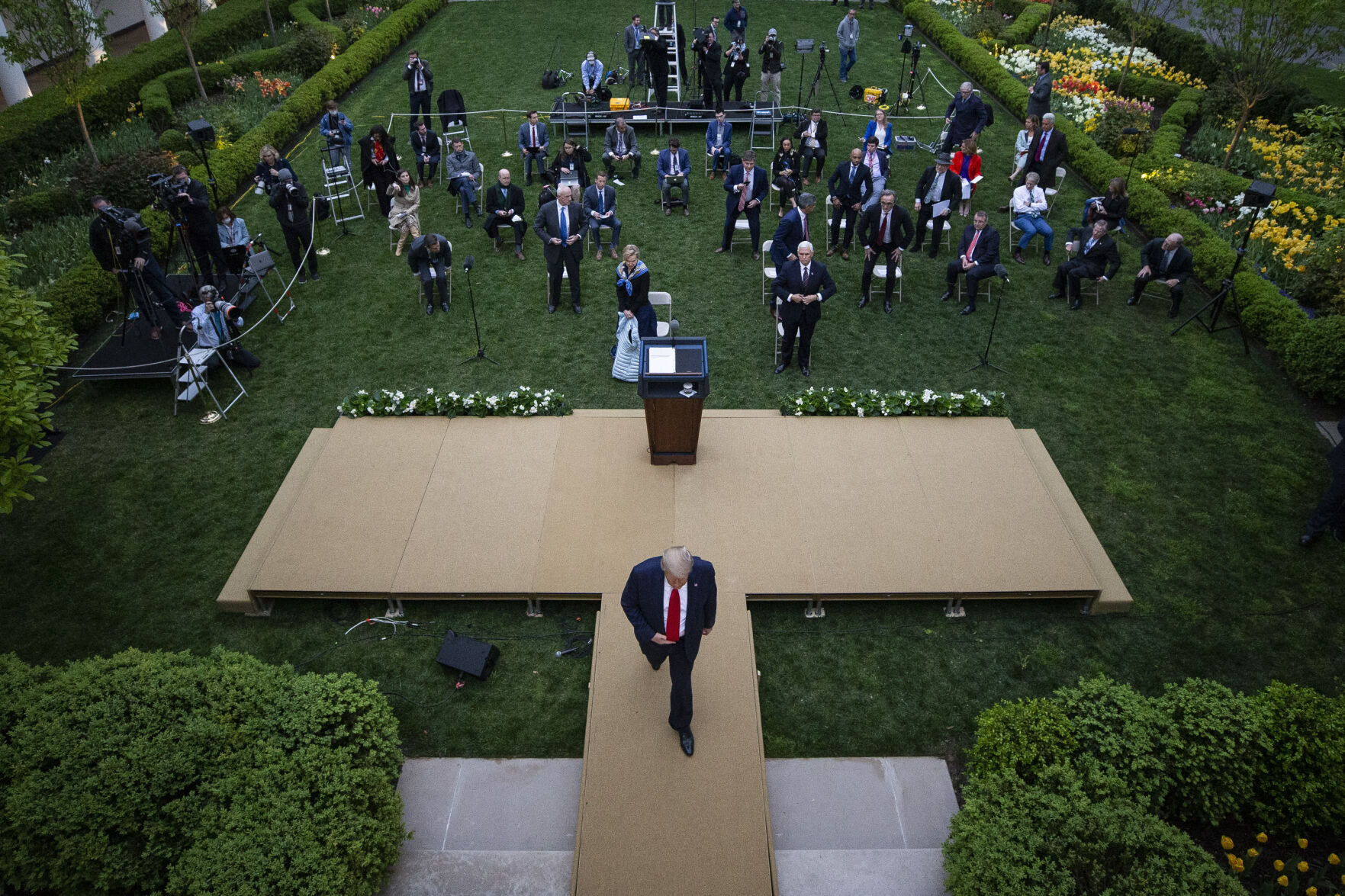 Trump, 2020